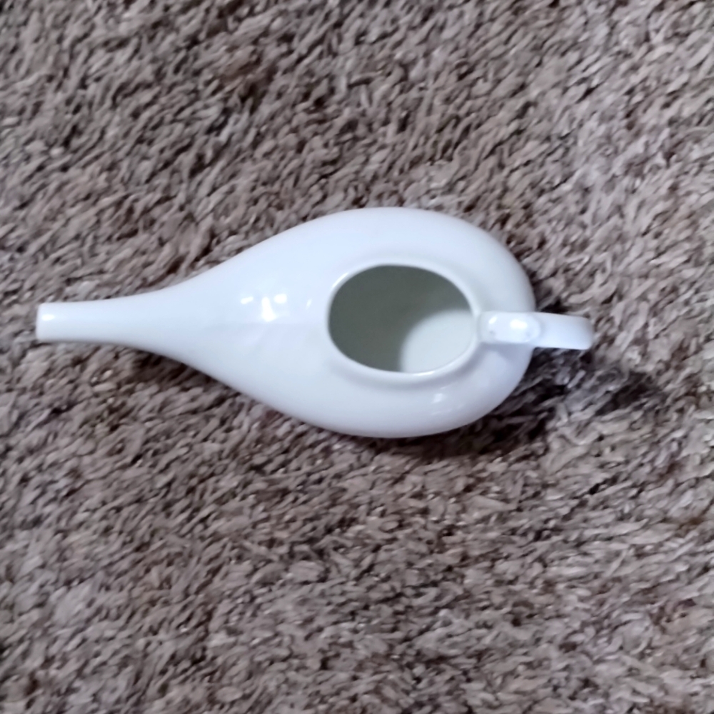 Antique White Porcelain Snitch, Long Beak